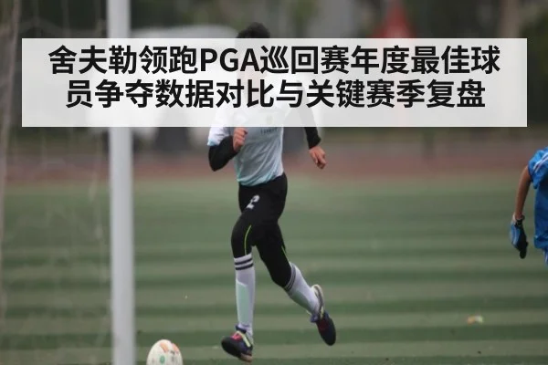 舍夫勒领跑PGA巡回赛年度最佳球员争夺数据对比与关键赛季复盘